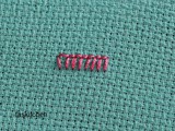 Pariser Stitch in Hand Embroidery Tutorial (Step By Step & Video)