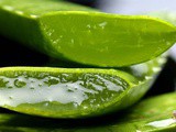 Benefits of Aloe Vera: It Will Help Your Hair, Skin, and Promote Good Health