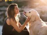 Caring of pets during corona lockdown and after