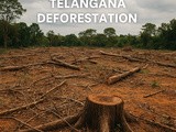Health Impact of Telangana Deforestation