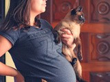 Pet care during pregnancy