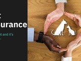 Pet insurance? What is it, and its benefits