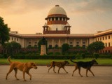 Supreme Court Order on Delhi ncr Stray Dogs