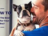 The best veterinarian for your furry friend