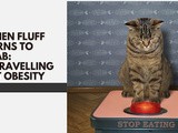 When Fluff Turns to Flab: Unravelling Pet Obesity