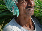 Why are some farmers in India unhappy