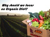 Why should we focus on Organic Diet