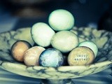 Easter Eggs and Stuffed Bunny