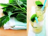 Cucumber Ginger Cooler