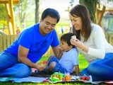 Hanami in the Irish National Stud & Japanese Gardens