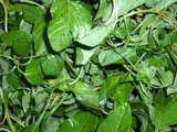 Pictures of Various Types of Spinach or Keerai