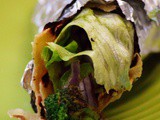 Simple Broccoli Wraps | Healthy Wrap for Outings