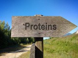 Step 16 - How to Lose Weight | Understanding the importance of Proteins