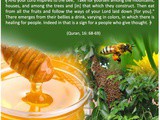 Honey - Healing for Mankind