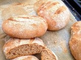 Moroccan whole wheat bread: Khobz zra'a for my 500th post