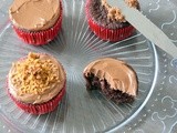 Soft and moist chocolate cupcakes with Chocolate buttercream and praline