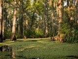 Mud Bugging-Louisiana