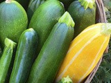 Delicious Ideas for Vegetable Surplus