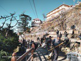 A Morning in Shimla – When the sun rays shower grace on the Queens of Hills