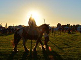 Basic Horse Ride Guidelines for Beginners while on a Vacation