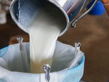 Do you know raw milk is not good for health