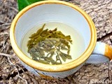 Organic Tian Mu Mao Feng Green Tea from Teavivre