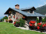 Rainwater Harvesting Basics for Residential Properties