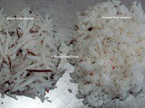 Difference Between Grated & Scraped Fresh Coconut
