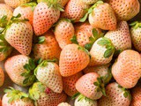 35 Fruits that Start with p to Pack in your Picnic Basket