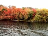 Fall in mn