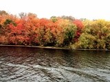 Fall in mn