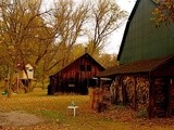 Field Trip: Chicken Farm