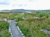 Dillisk Food Project: a very special trip to Connemara