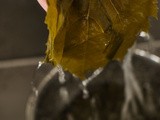 From the Vine with Love – Dolmades, Stuffed Grape Leaves