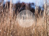 Hello November