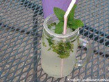 Minty Limeade