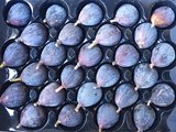 Fig Preserves with Balsamic Vinegar and Black Pepper