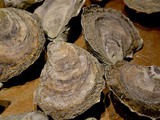 Grilled Oysters with Spicy Tarragon Butter