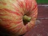 Precious Delights Part iii - Apples