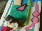 Bachelorette cake