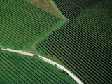 La Franciacorta, dalla rinascita all’orgoglio