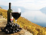 The Best Wine Regions in Europe