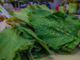 Cooking with borage in today’s Sunday Times