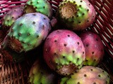 Saute of Prickly Pear Paddles