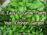 10 Easy to Grow Plants for Your Kitchen Garden