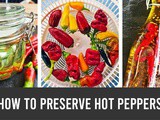 How to preserve hot peppers (canning, pickling, dehydrating) | guide