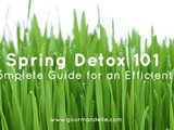 Spring Detox 101 | The Complete Guide for an Efficient Detox