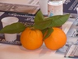 Liguria and citrus fruits. History, recipes, scents, itineraries - La Liguria degli agrumi - Storie ricette profumi itinerari