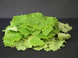 Foglie di vite: conservazione