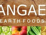 Pangaea Earth Food Juices